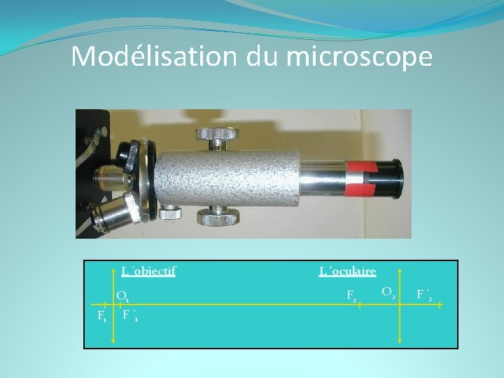 Modélisation du microscope L ’objectif O 1 F ’ 1 L ’oculaire F 2