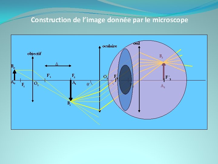 Construction de l’image donnée par le microscope oculaire oeil objectif B 2 D Bo