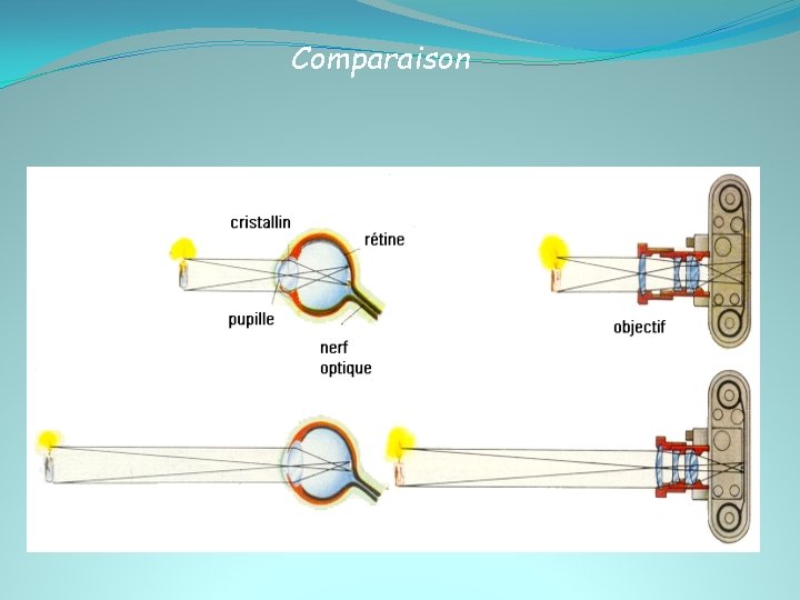 Comparaison 