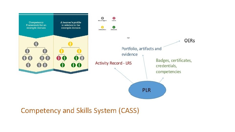 Competency and Skills System (CASS) 
