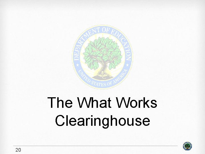 The What Works Clearinghouse 20 