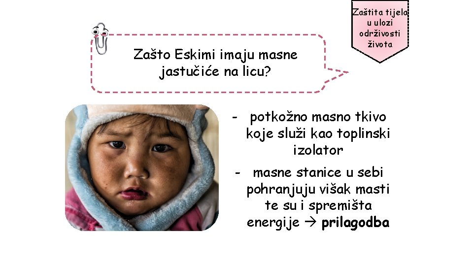 Zašto Eskimi imaju masne jastučiće na licu? Zaštita tijela u ulozi održivosti života -