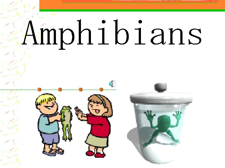 Amphibians 