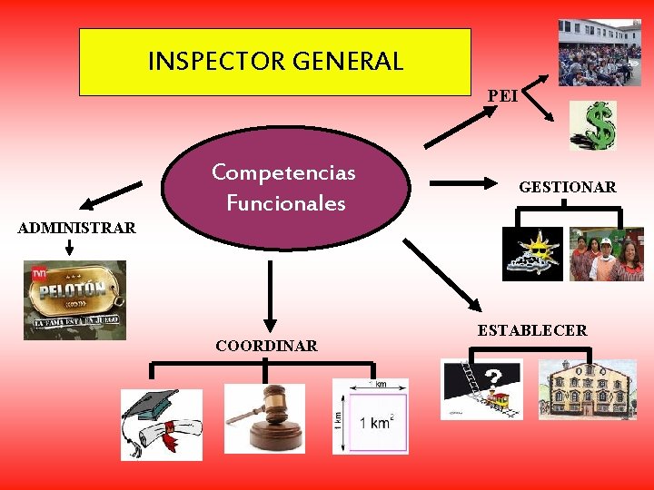 INSPECTOR GENERAL PEI Competencias Funcionales GESTIONAR ADMINISTRAR COORDINAR ESTABLECER 