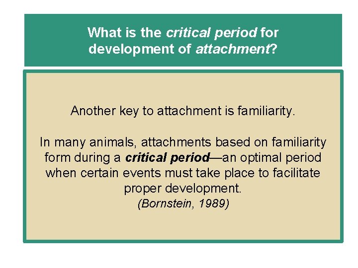 What is the critical period for development of attachment? Another key to attachment is