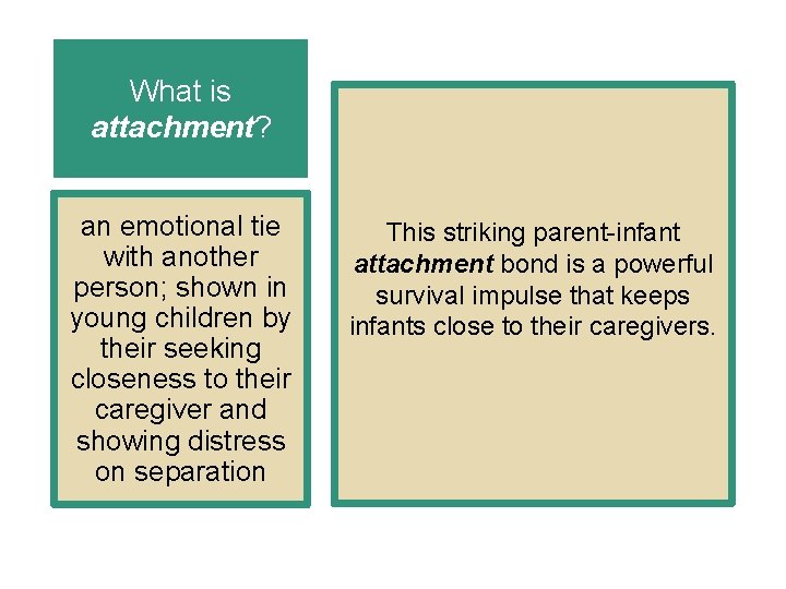 What is attachment? an emotional tie with another person; shown in young children by