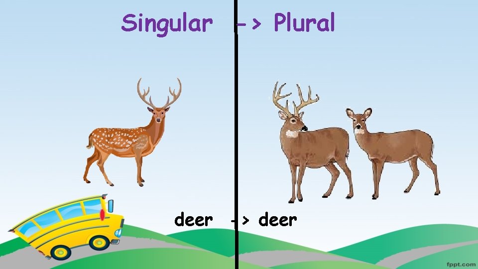 Singular -> Plural deer -> deer 