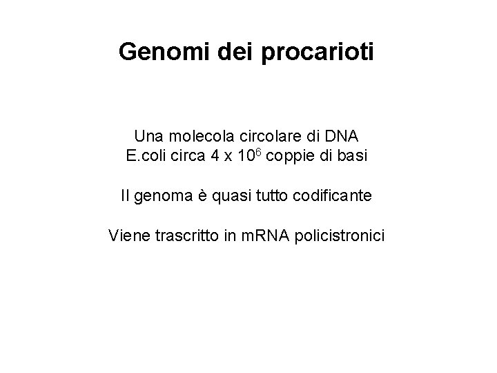 Genomi dei procarioti Una molecola circolare di DNA E. coli circa 4 x 106