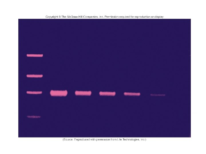 Figure 5. 1 b 