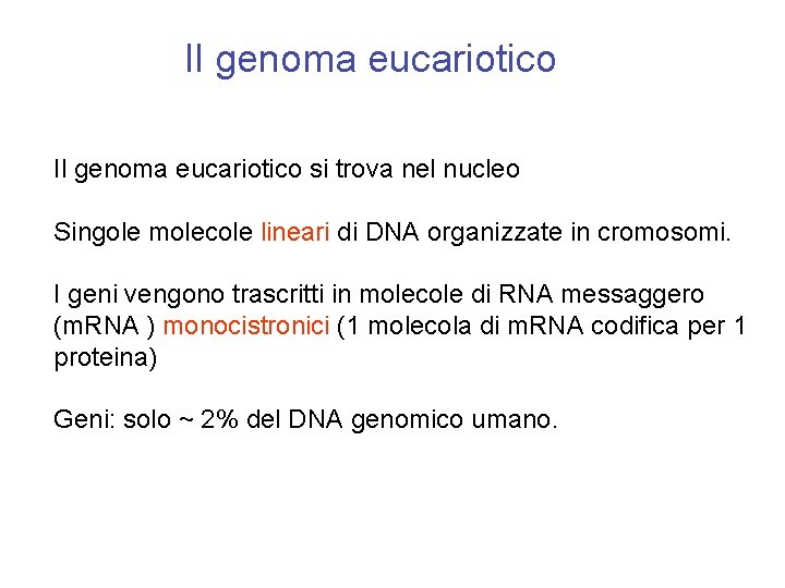 Il genoma eucariotico si trova nel nucleo Singole molecole lineari di DNA organizzate in