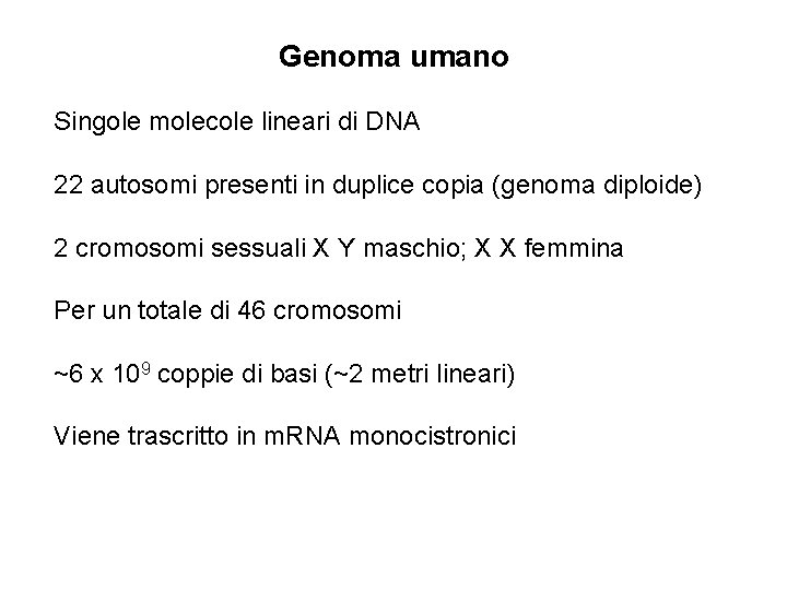 Genoma umano Singole molecole lineari di DNA 22 autosomi presenti in duplice copia (genoma