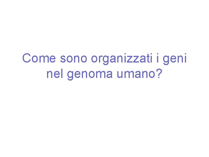 Come sono organizzati i geni nel genoma umano? 