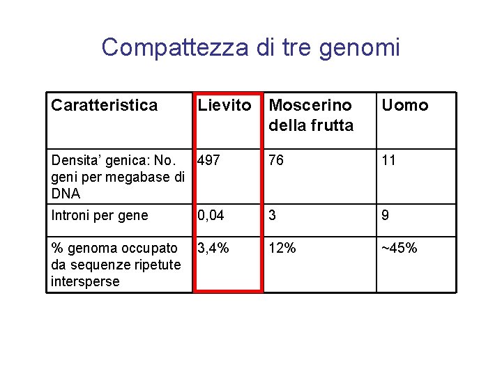 Compattezza di tre genomi Caratteristica Lievito Moscerino della frutta Uomo Densita’ genica: No. 497