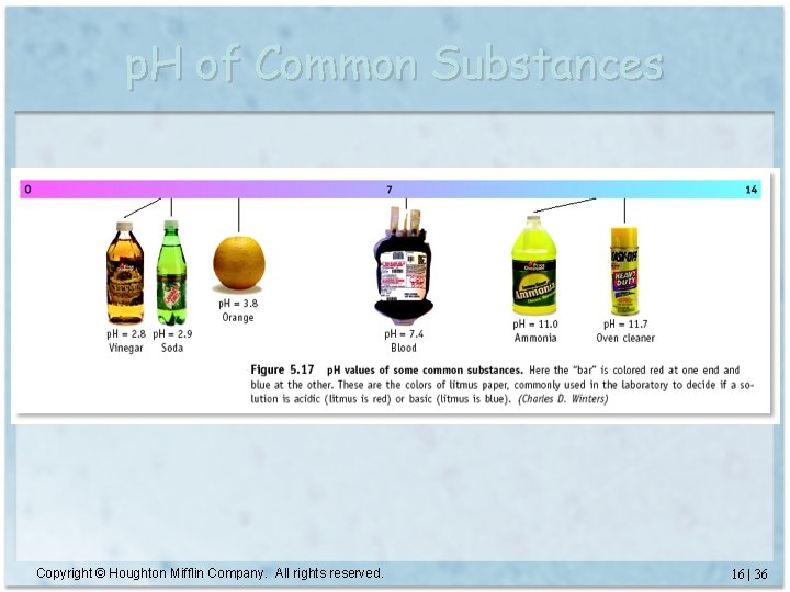 p. H of Common Substances Copyright © Houghton Mifflin Company. All rights reserved. 16