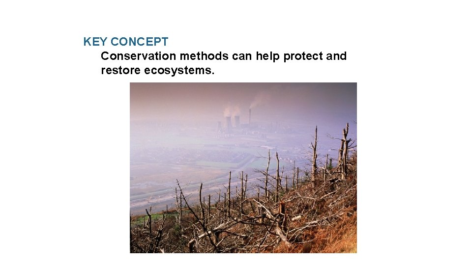 KEY CONCEPT Conservation methods can help protect and restore ecosystems. 