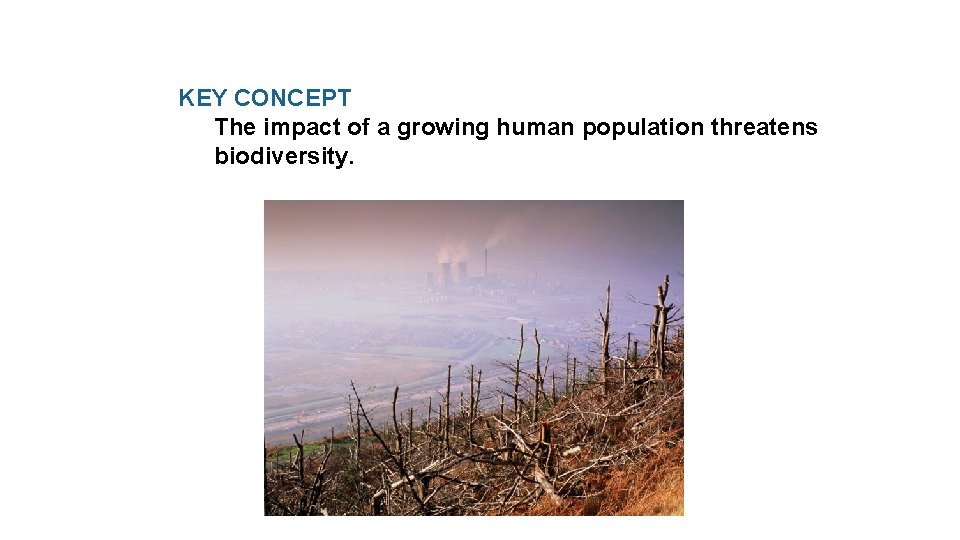 KEY CONCEPT The impact of a growing human population threatens biodiversity. 