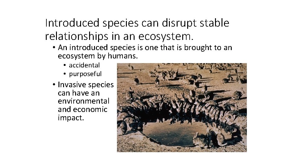 Introduced species can disrupt stable relationships in an ecosystem. • An introduced species is
