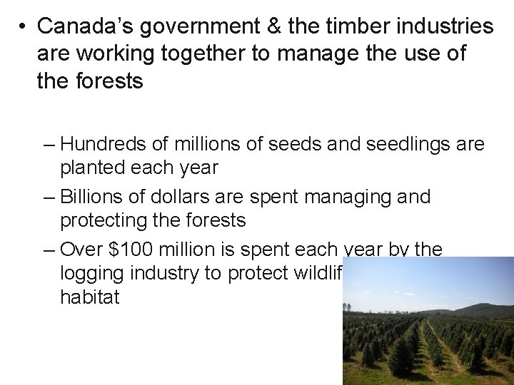  • Canada’s government & the timber industries are working together to manage the