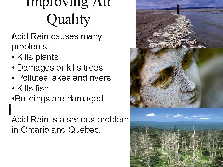 Improving Air Quality Acid Rain causes many problems: • Kills plants • Damages or