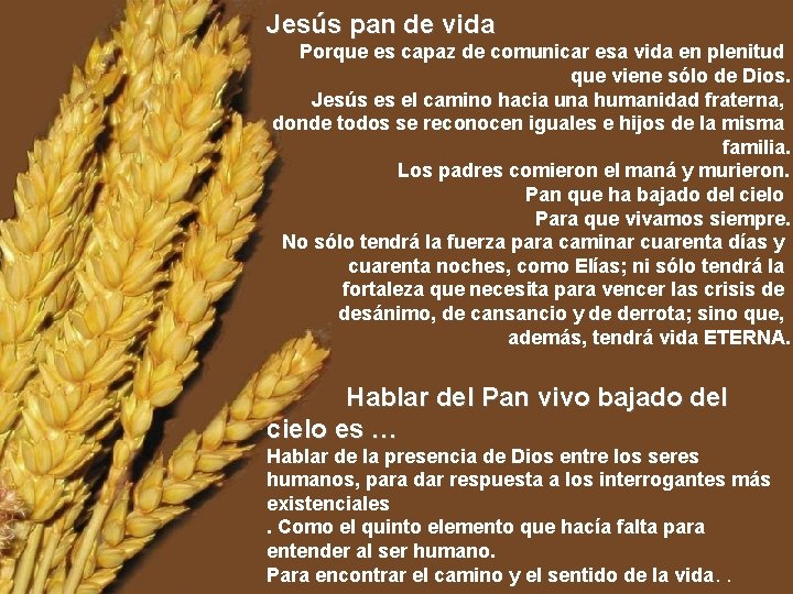 Jesús pan de vida Porque es capaz de comunicar esa vida en plenitud que