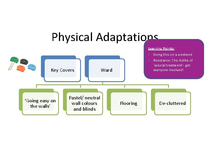 Physical Adaptations Learning Points: Key Covers ‘Going easy on the walls’ Pastel/ neutral wall