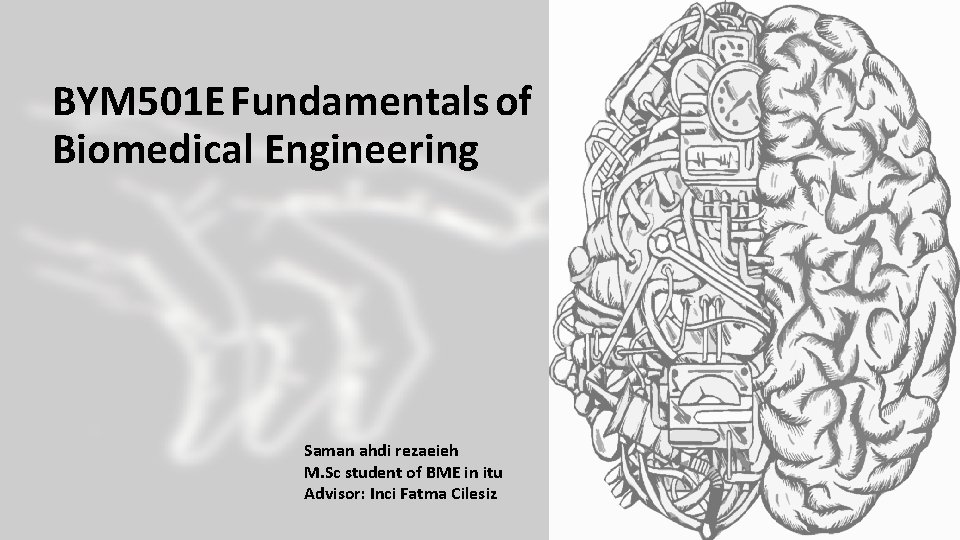 BYM 501 E Fundamentals of Biomedical Engineering Saman ahdi rezaeieh M. Sc student of