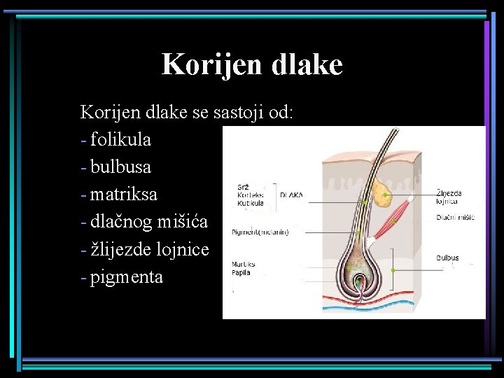 Graa kose Pripremila Marijana van Ciljevi imenovati i