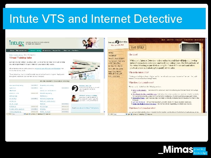 Intute VTS and Internet Detective 