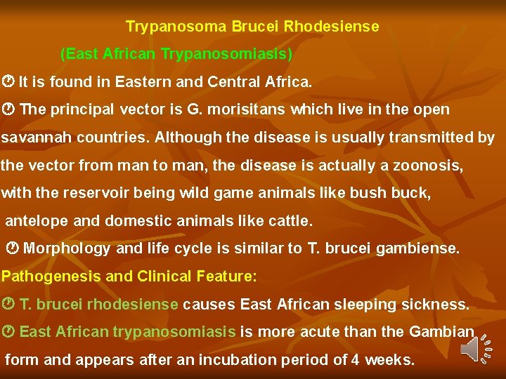 Trypanosoma Brucei Rhodesiense (East African Trypanosomiasis) It is found in Eastern and Central Africa. Trypanosoma Brucei Rhodesiense (East African Trypanosomiasis) It is found in Eastern and Central Africa.