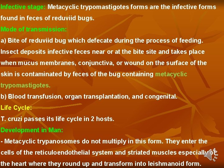 Infective stage: Metacyclic trypomastigotes forms are the infective forms found in feces of reduviid Infective stage: Metacyclic trypomastigotes forms are the infective forms found in feces of reduviid
