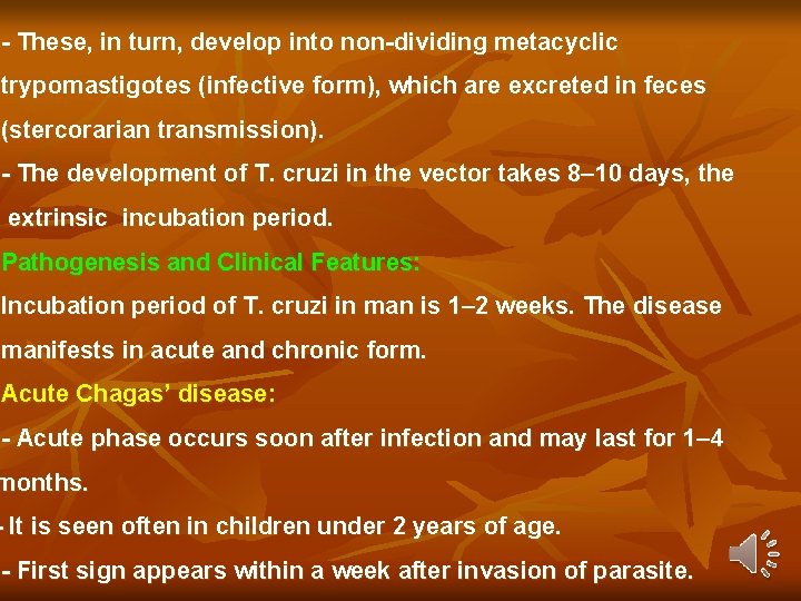 - These, in turn, develop into non-dividing metacyclic trypomastigotes (infective form), which are excreted - These, in turn, develop into non-dividing metacyclic trypomastigotes (infective form), which are excreted