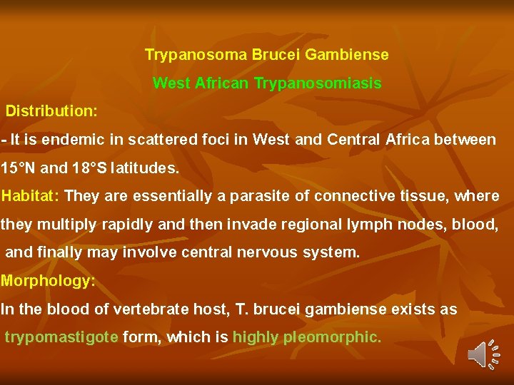 Trypanosoma Brucei Gambiense West African Trypanosomiasis Distribution: - It is endemic in scattered foci Trypanosoma Brucei Gambiense West African Trypanosomiasis Distribution: - It is endemic in scattered foci