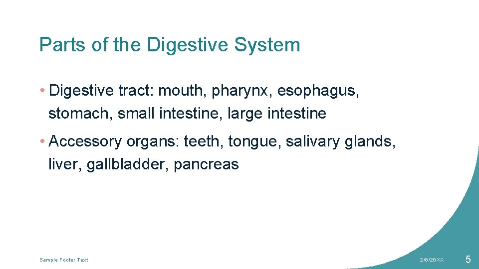Parts of the Digestive System • Digestive tract: mouth, pharynx, esophagus, stomach, small intestine,