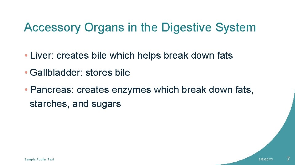 Accessory Organs in the Digestive System • Liver: creates bile which helps break down