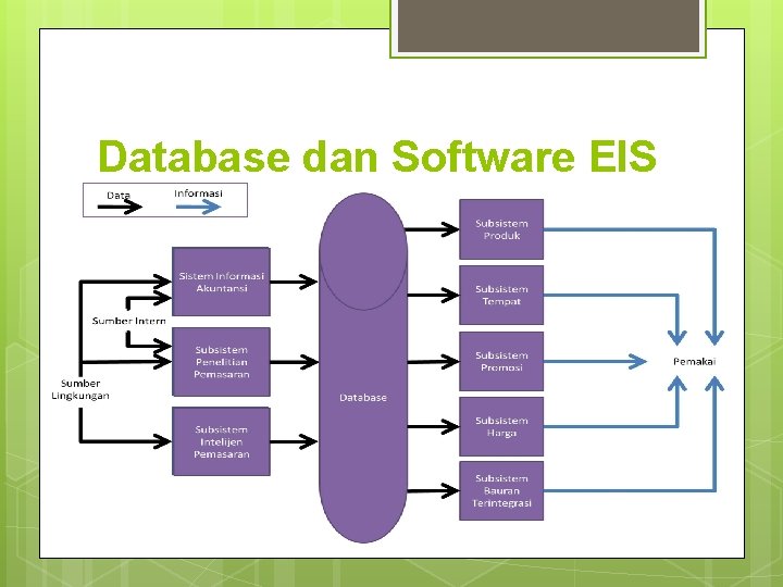 Database dan Software EIS 