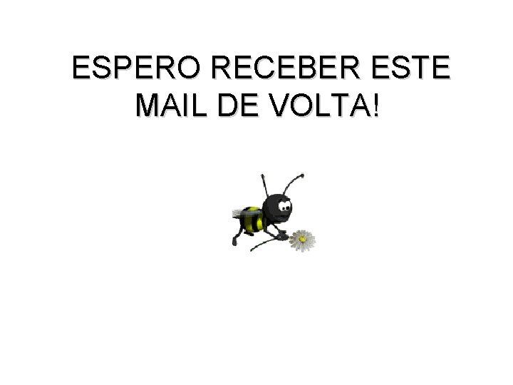 ESPERO RECEBER ESTE MAIL DE VOLTA! 