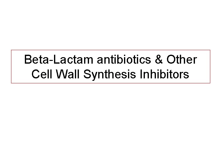 Beta Lactam antibiotics & Other Cell Wall Synthesis Inhibitors 