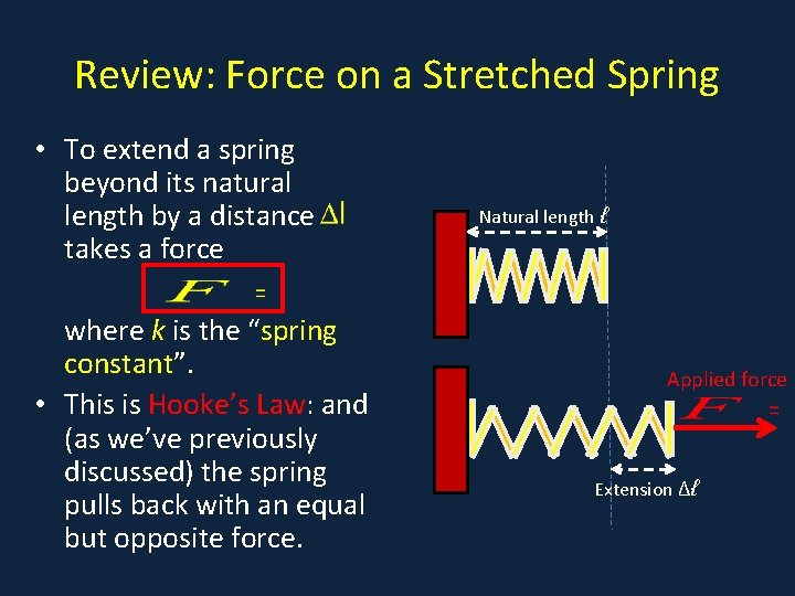 Review: Force on a Stretched Spring • To extend a spring beyond its natural