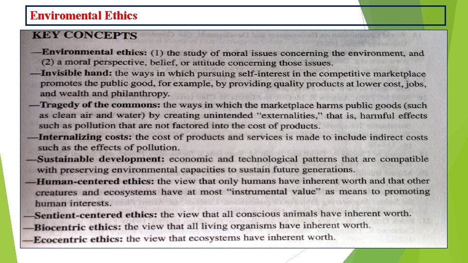 Enviromental Ethics 