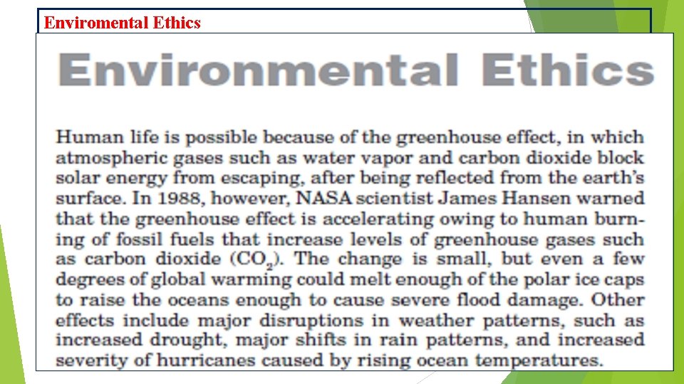 Enviromental Ethics 