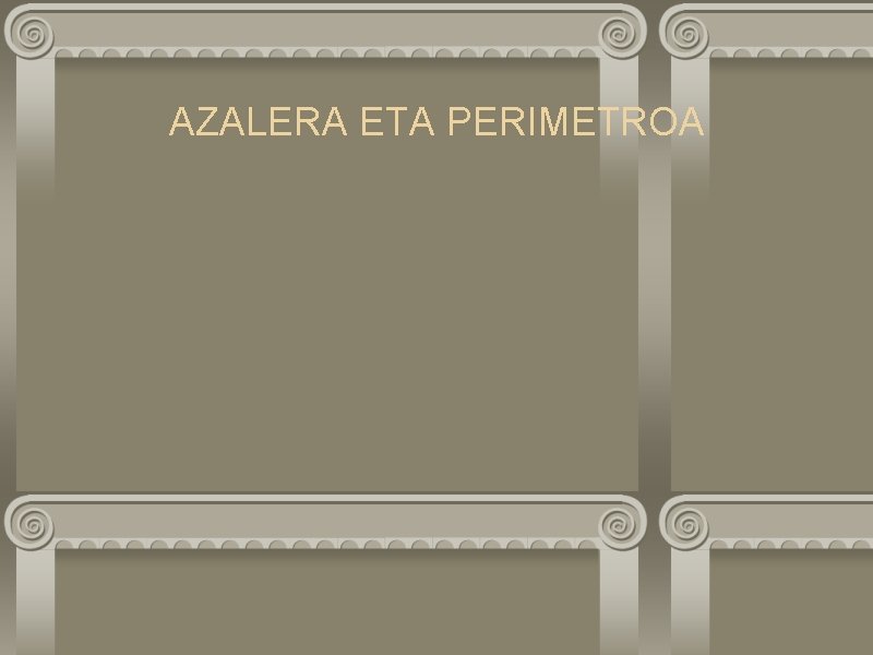 AZALERA ETA PERIMETROA 