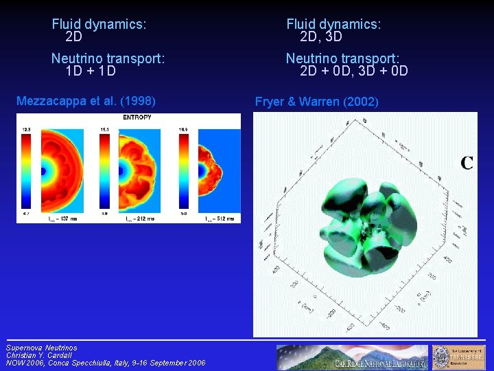 Fluid dynamics: 2 D, 3 D Neutrino transport: 1 D + 1 D Neutrino