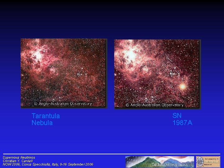 Tarantula Nebula Supernova Neutrinos Christian Y. Cardall NOW 2006, Conca Specchiulla, Italy, 9 -16