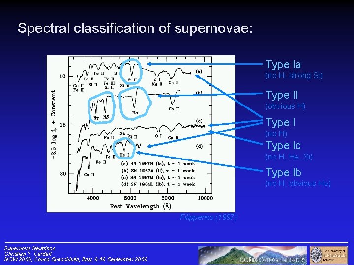 Spectral classification of supernovae: Type Ia (no H, strong Si) Type II (obvious H)