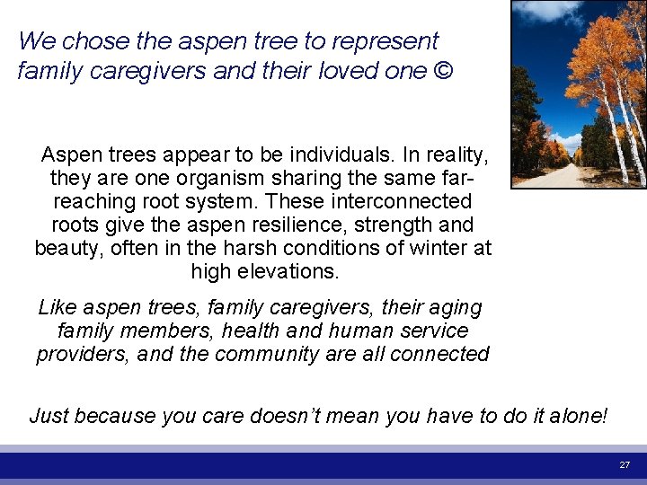 We chose the aspen tree to represent family caregivers and their loved one ©