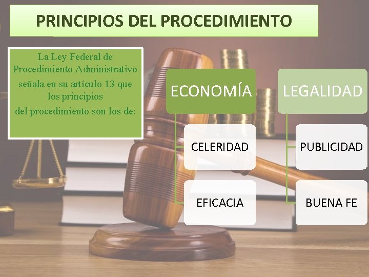 PRINCIPIOS DEL PROCEDIMIENTO La Ley Federal de Procedimiento Administrativo señala en su artículo 13 PRINCIPIOS DEL PROCEDIMIENTO La Ley Federal de Procedimiento Administrativo señala en su artículo 13