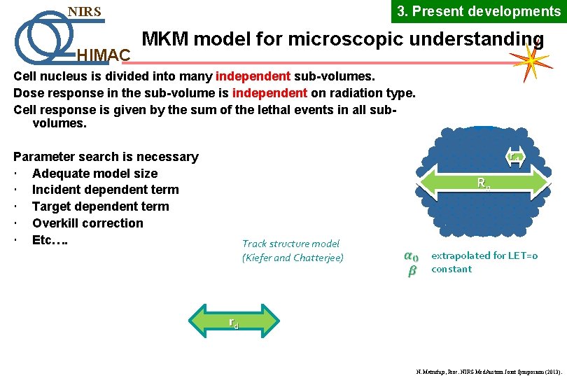 3. Present developments NIRS HIMAC MKM model for microscopic understanding Cell nucleus is divided