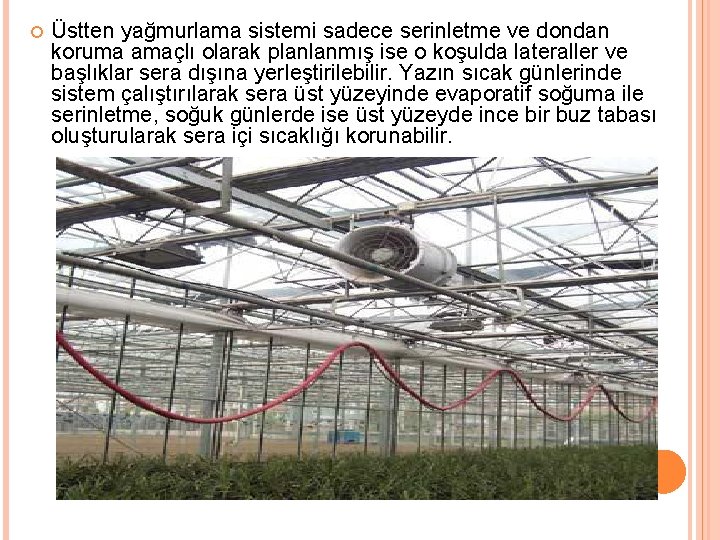  Üstten yağmurlama sistemi sadece serinletme ve dondan koruma amaçlı olarak planlanmış ise o