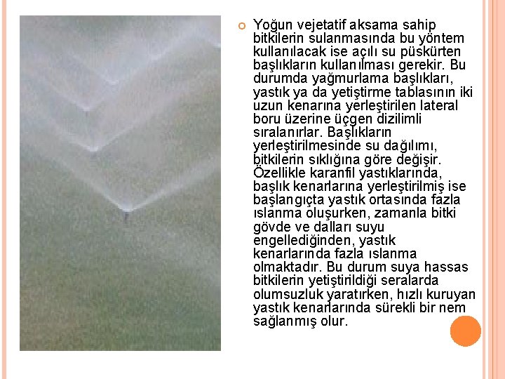  Yoğun vejetatif aksama sahip bitkilerin sulanmasında bu yöntem kullanılacak ise açılı su püskürten