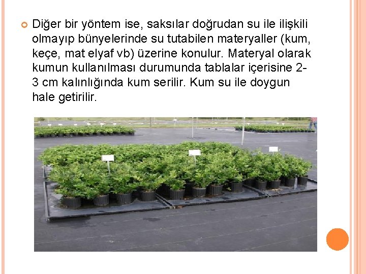  Diğer bir yöntem ise, saksılar doğrudan su ile ilişkili olmayıp bünyelerinde su tutabilen